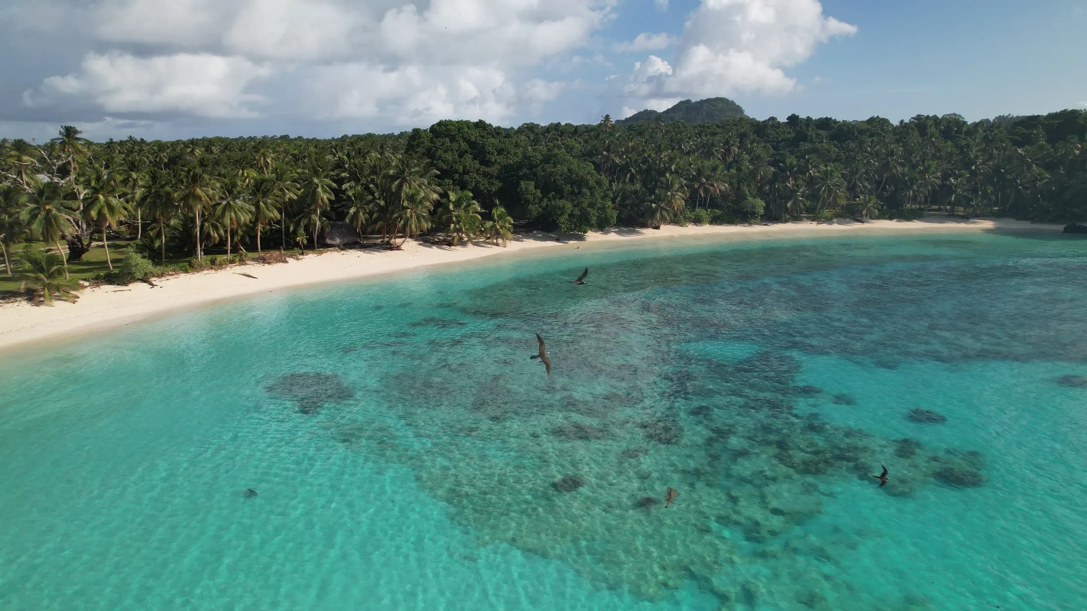 Aerial view of turquoise shallows and reef by Croome Photography